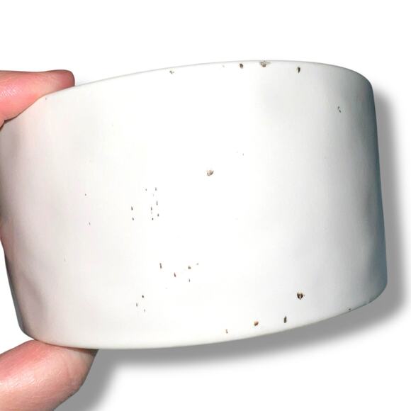 Rae Dunn Pet Dog Cat Dishes Food Bowls Nibble Devour Ceramic White Black Blue - Picture 11 of 14